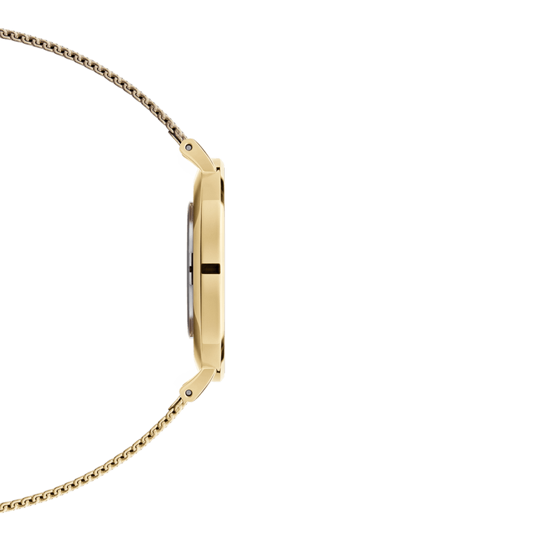 Daniel Wellington Petite 36 Evergold Gold and White Watch